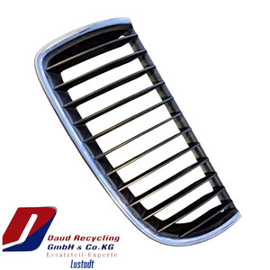 BMW 3er E91 Kühlergrill Links