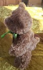 Bild 2 von 5
