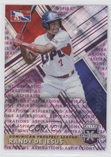 2019 Panini Elite Extra Edition Aspirations Purple 13/250 Randy DeJesus #201 s3g