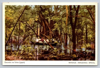 Vintage Manaus Brazil Igapó Amazon Forest Excursion Postcard