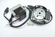 PVL analog System for Go Kart Vortex Coil 458115 Stator 1850 Winches Rotor 95...