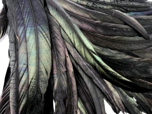 2.5 Inch Strip - Natural Black Half Bronze Coque Tail Strung Rooster Feathers - Picture 2 of 6