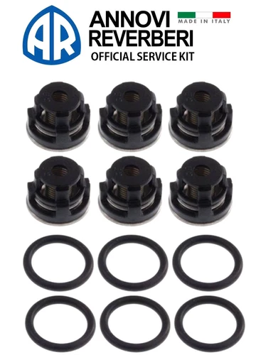 Annovi Reverberi 2125 AR2125 Original Check Valve Kit for SXMA SXMV pump AR 2125
