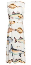 Dolce & Gabbana $4460 Button-embellished Fish Print dress Sz 42 BNWT!