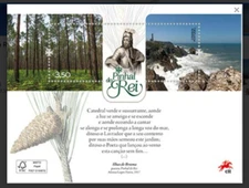 Portugal 2024 Views of Pinhal do Rei National Forest Crushed pines Unique MS