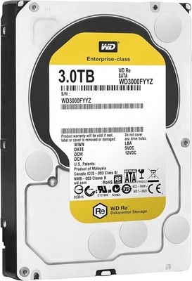 Western Digital WD3000FYYZ 3.5 '' 3TB Festplatte
