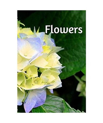 Flowers: Ma vie et les fleurs, Gilou Gilles Berthin