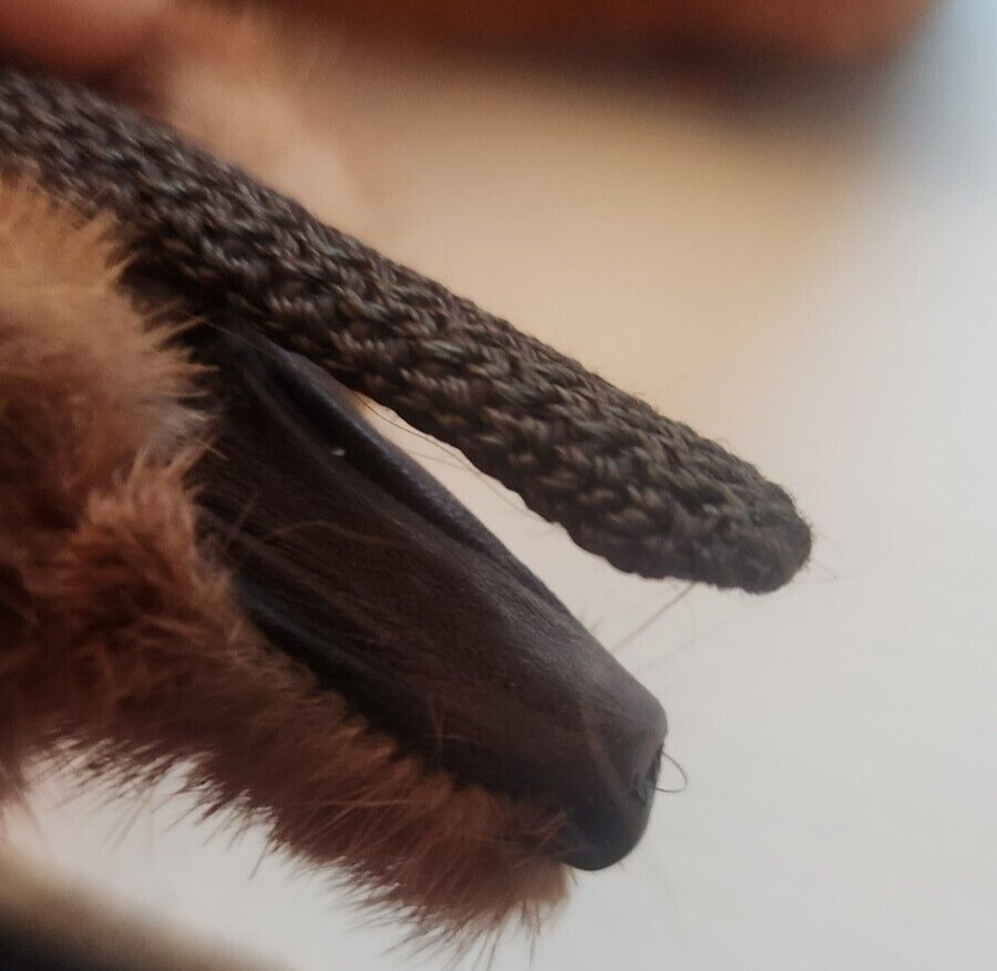 Picture 7 of 13