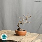 Bild 2 von 17