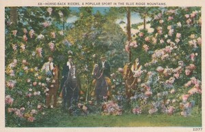 C1930s Unposted, Ashville, N.C., Horse Back Riders , Blue Ridge Mtns., 1460