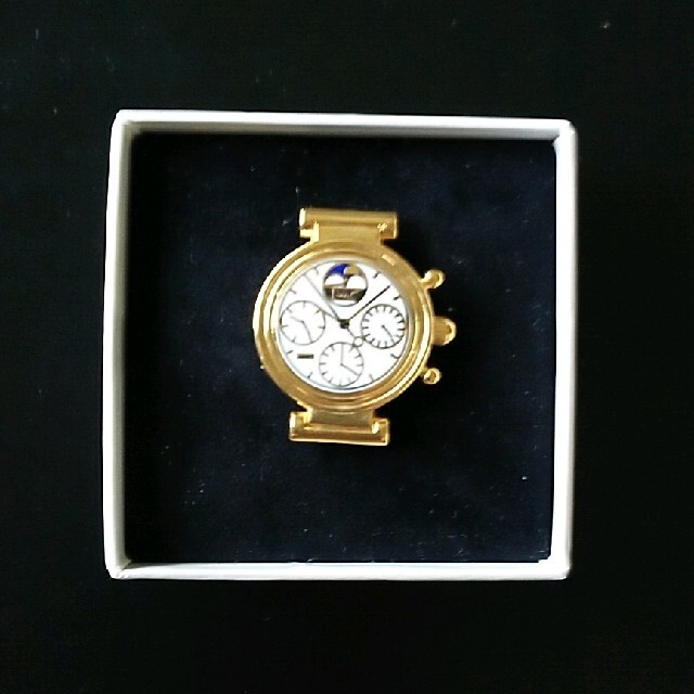 Rare PINS Switzerland IWC Grand Complication Limited quantity model Unused JPN