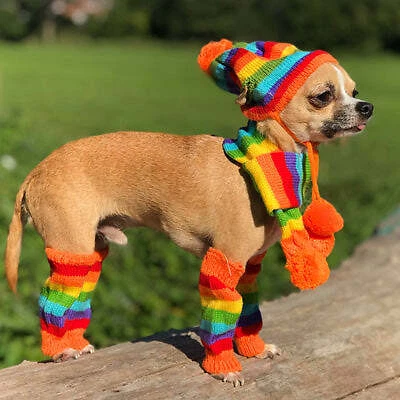 Small dog cheap leg warmers