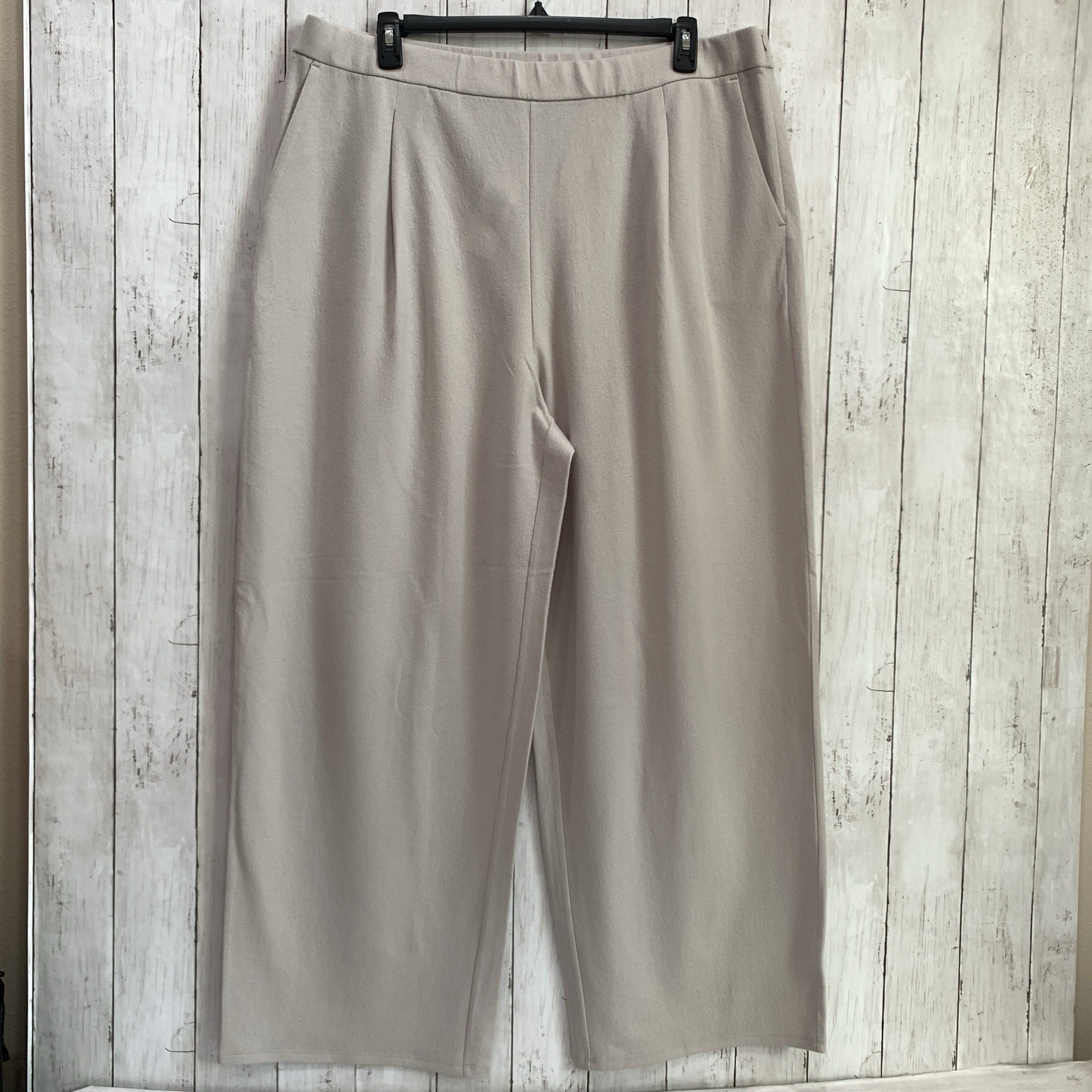 Eileen Fisher Chalk 100% Wool High Waisted Wide Leg Pants Sz 2X Pocket MSRP$228