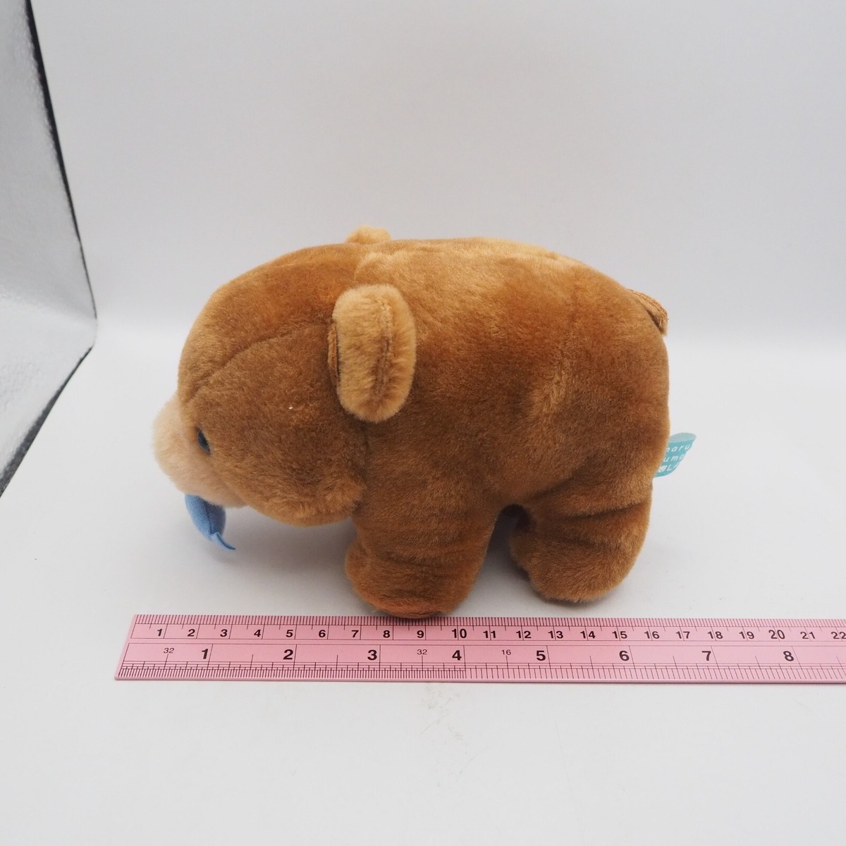 Marukuma Pola Polar Bear C1508 Amuse 6