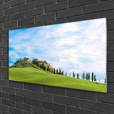 Tulup Image sur verre Tableau Impression 100x50 Herbe Pelouse