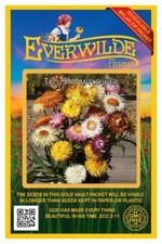 100 Strawflower Wildflower Seeds - Everwilde Farms Mylar Seed Packet