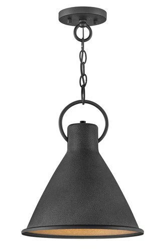 Aged Zinc LED Pendant from the Winnie Collection - Picture 1 of 2