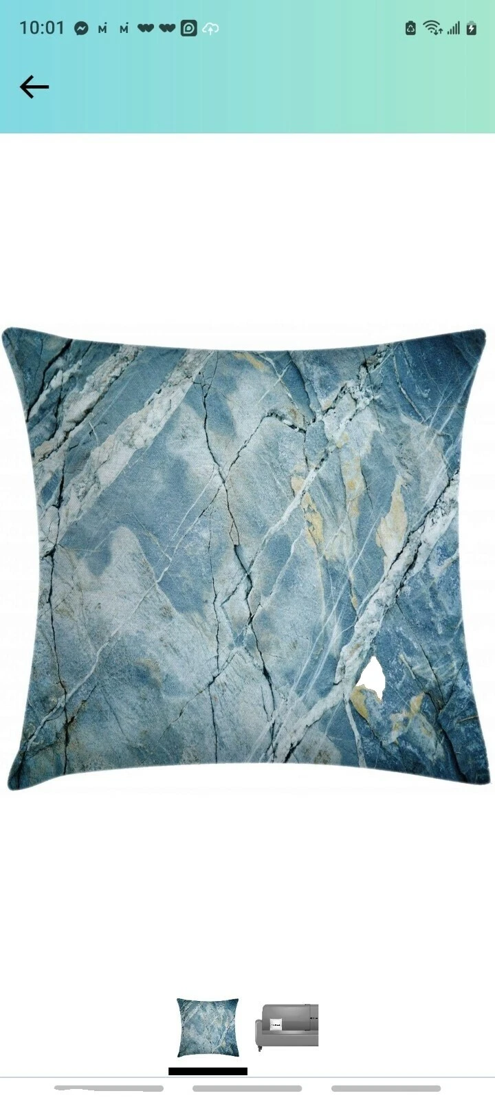 Case Nature Home Décor Pillows