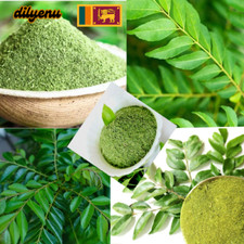 Curry Leaf Powder Organic Natural Ceylon Sun Dried 100 Handmade