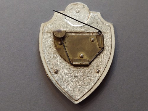 Soviet Badge Token State Traffic Inspectorate. Ukraine Zaporizhia region. USSR - Picture 9 of 13