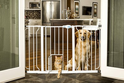 dog gate ebay
