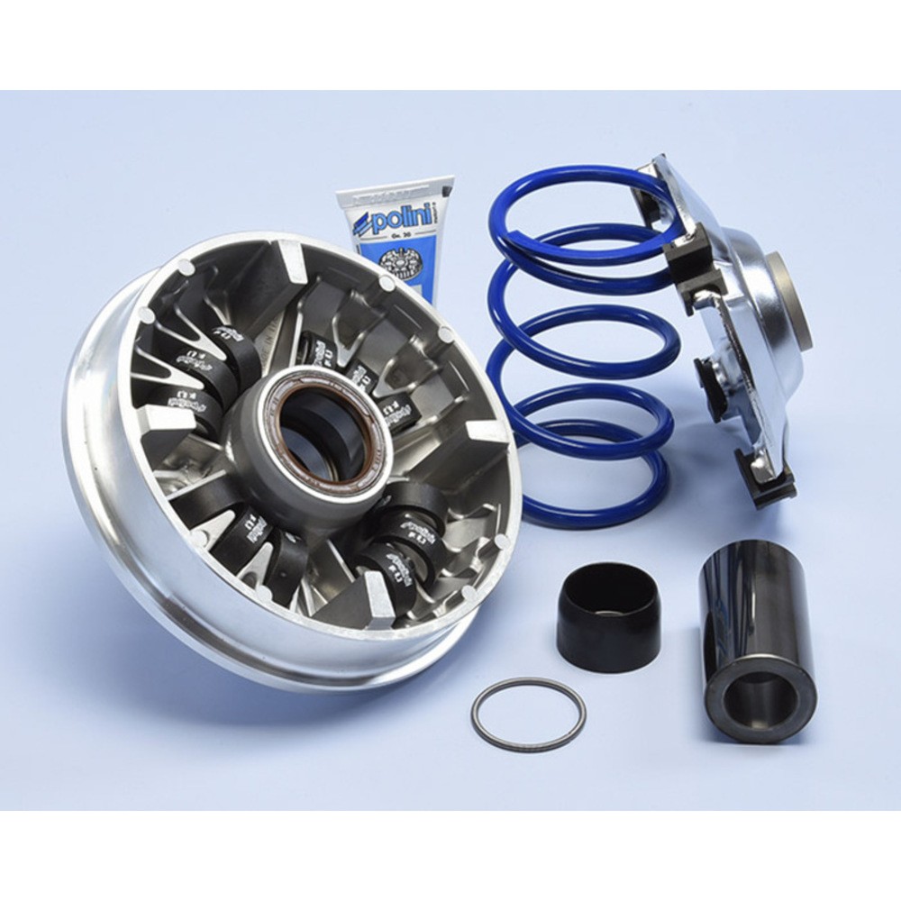 Free Shipping Polini Hi-Speed 12 Rollers-Honda SH 350 for Motorcycle