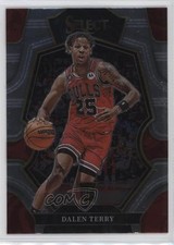 2022-23 Panini Select Premier Level Dalen Terry #188 15iu