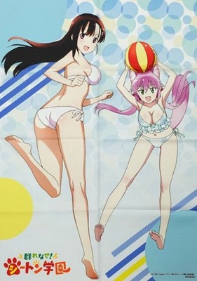 Seton Academy Hitomi Hino Kurumi Nekome B2 Cloth Poster Japan