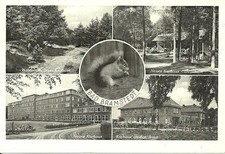 AK Bad Bramstedt - Neues Kurhaus, Liegehalle, Waldpartie - 1953 gel. 1a Stempel!