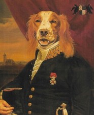 Welsh Springer Spaniel - CUSTOM MATTED - Vintage Dog Art Print - Poncelet 0810