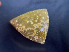 Ocean Jasper Huge Drilled Cabochon w/ Wild Patterns 28 Grams or One Ounce