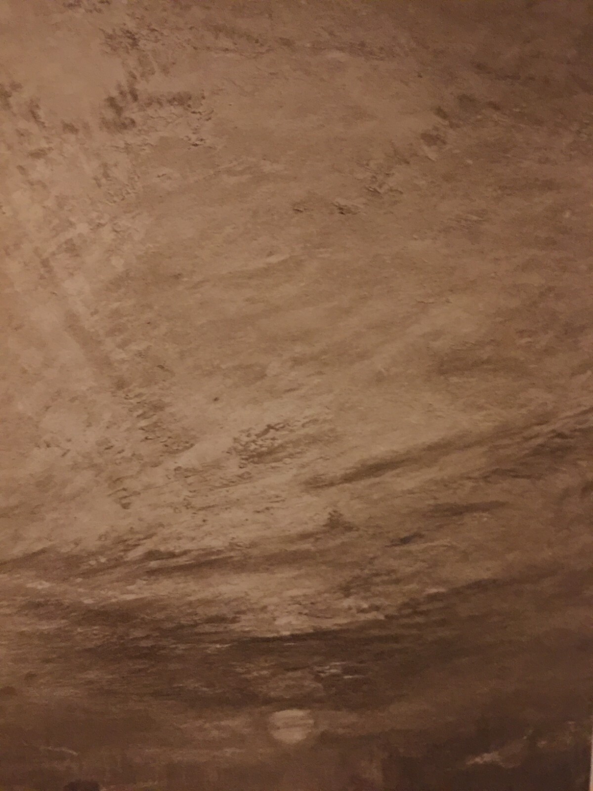 Picture 7 of 7
