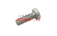 Schraube Bremsscheibe Fast FT30601 FüR Fiat Ducato Bus 110 Multijet 120 4X4 130