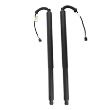 2Pcs Rear Power Lift Cylinder Struts For Nissan Murano 3.5L LH RH 2015-2021