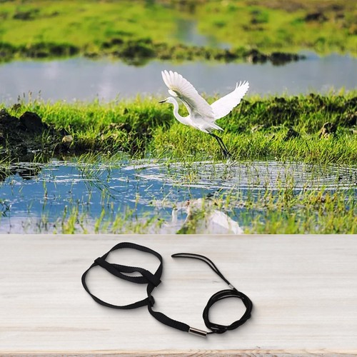 Parrot Bird Harness Leash Adjustable Training Rope Flying Traction Straps Band - Picture 6 of 41