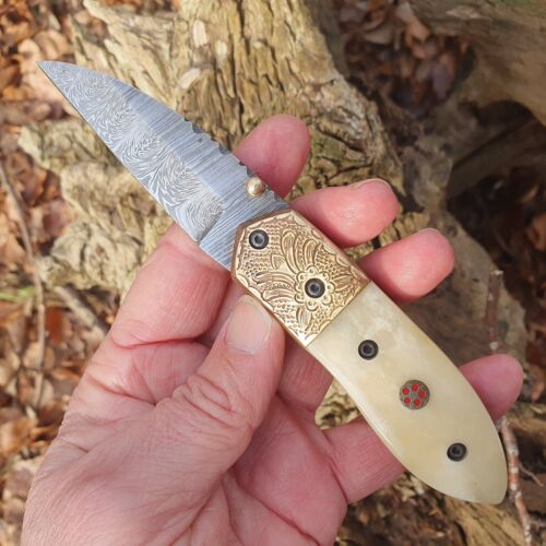 Coltello damascato coltello a una mano coltello da tasca coltello pieghevole forgiato (X79w) - Foto 1 di 16