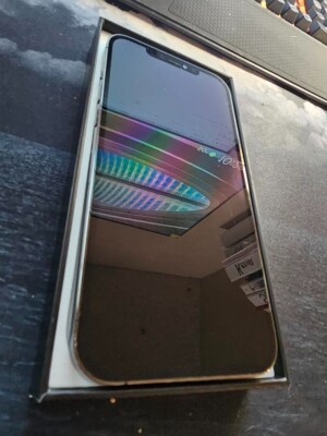 Apple iPhone 12 Pro Max - 256GB - Graphite (Unlocked) (CA) | eBay