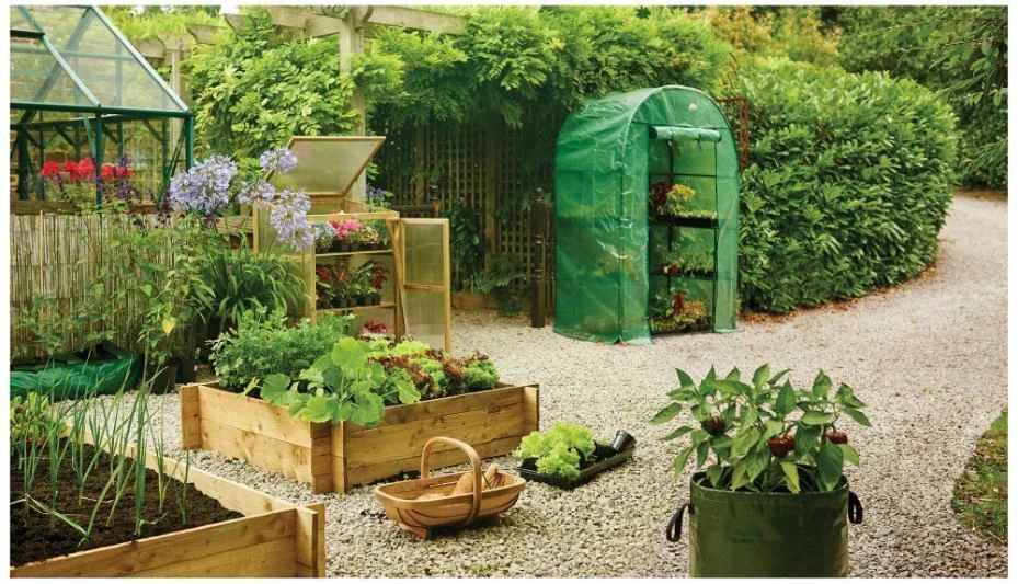 Cultivo de madera, natural 8896 Foto 2 de 3