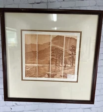 Silent Majesty Etching On Paper Signed By Anne Tuttle Framed And Matted 22”X21”