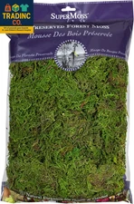 (25322) Forest Moss Preserved, Fresh Green, 8Oz