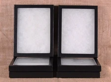 Collector's Display Case: 6 x 8 x 3/4" (Riker Type) - Package of 6