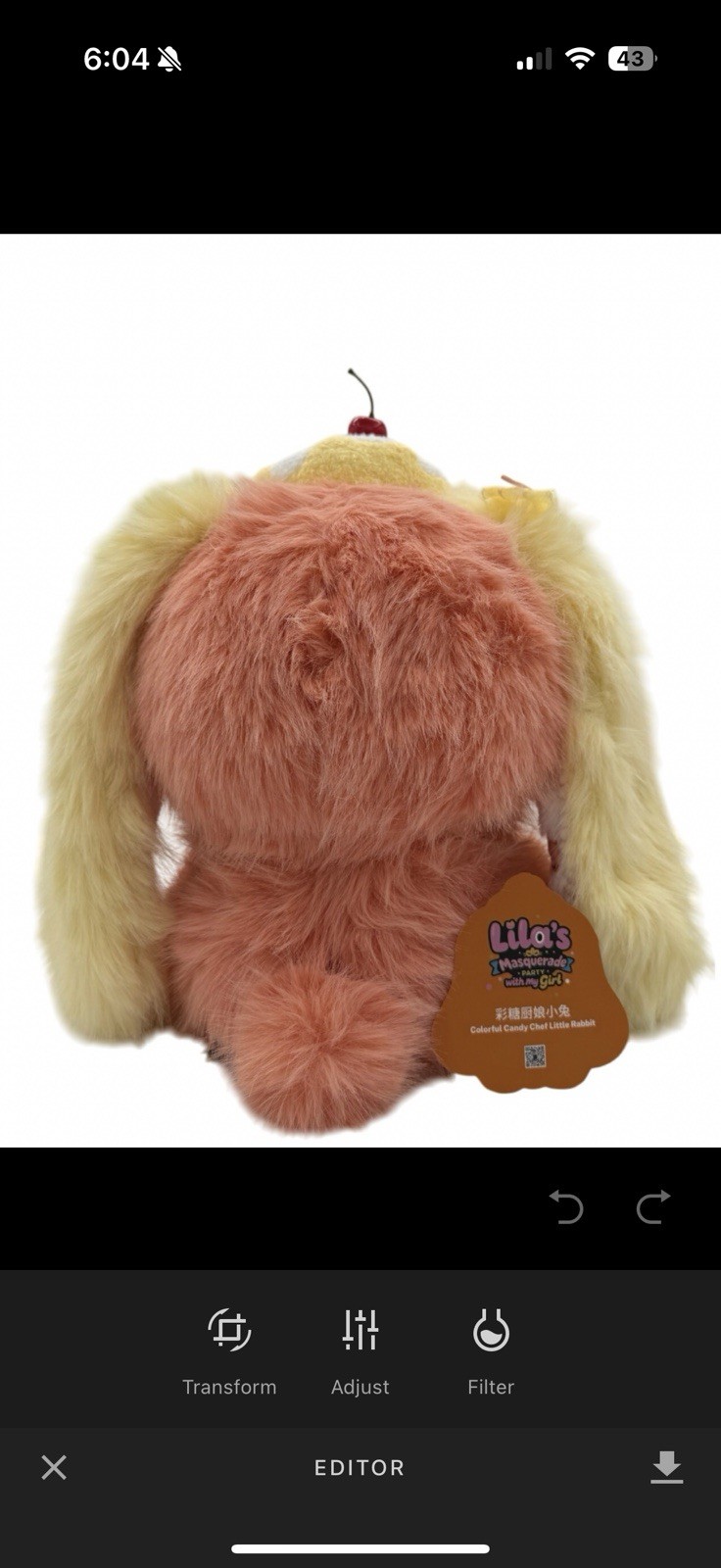 Liila’s Masquerade Party w/ My Girl Opened Confirmed Colorful Candy Chef Rabbit