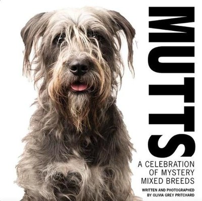 MUTTS: A Celebration of Mystery Mixed Breeds by Olivia Grey Pritchard (English)