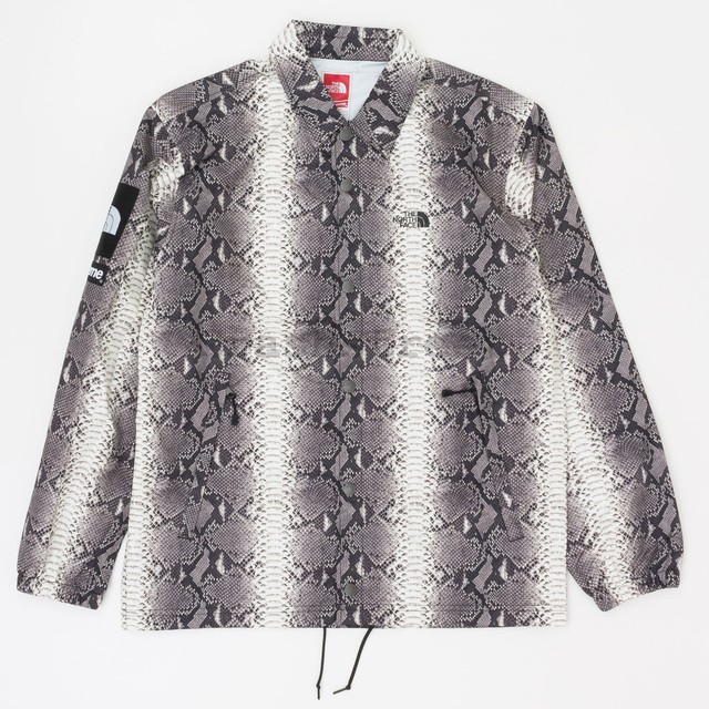 supreme north face snakeskin jacket