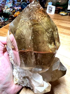 Rare Citrine Quartz Crystal Lemurian Phantom Cathedral Cluster Specimen 706