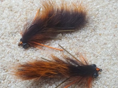 Creek Leech Orange/Black
