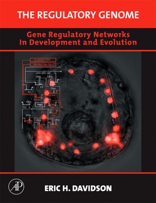 The Regulatory Genome : Gene Regulatory Networks in Development a
