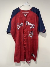 #31 Game Issued Portland Sea Dogs Marvel Defenders Of The Diamond Jersey