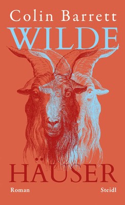 Wilde Häuser | Colin Barrett | Buch | 256 S. | Deutsch | 2026