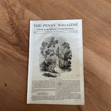 Antique Print & article - 1835 - Binfield in Berkshire - Alexander POPE&rsquo;s Tree  